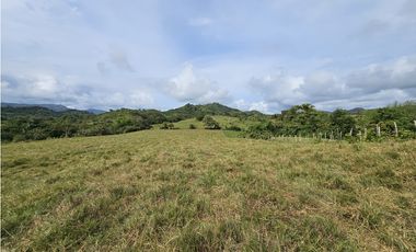 Se Vende Finca en Veraguas de 1110 Hectáreas
