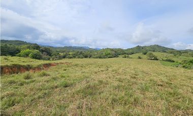 Se Vende Finca en Veraguas de 1110 Hectáreas