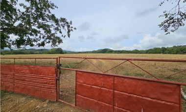 Se Vende Finca en Veraguas de 1110 Hectáreas