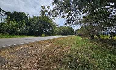 Se Vende Finca en Veraguas de 1110 Hectáreas