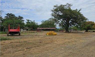 Se Vende Finca en Veraguas de 1110 Hectáreas