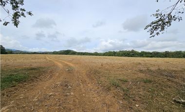 Se Vende Finca en Veraguas de 1110 Hectáreas