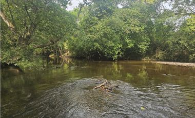 Se Vende Finca en Veraguas de 1110 Hectáreas