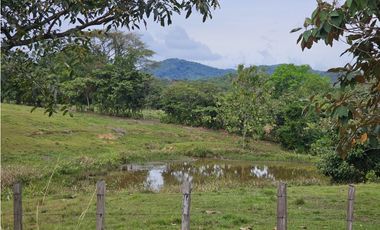 Se Vende Finca en Veraguas de 1110 Hectáreas