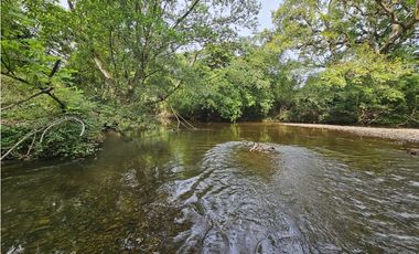 Se Vende Finca en Veraguas de 1110 Hectáreas