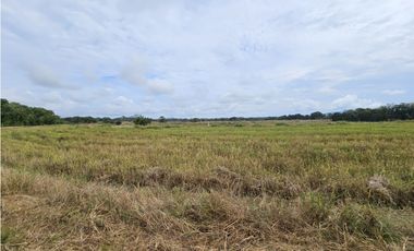 Se Vende Finca en Veraguas de 1110 Hectáreas