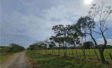 Se Vende Finca en Veraguas de 1110 Hectáreas