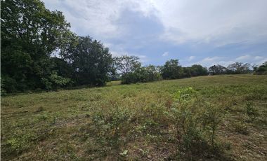 Se Vende Finca en Veraguas de 1110 Hectáreas