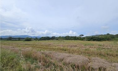 Se Vende Finca en Veraguas de 1110 Hectáreas