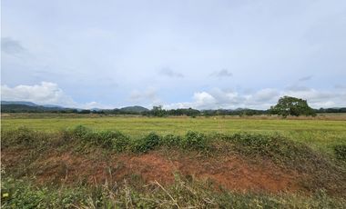 Se Vende Finca en Veraguas de 1110 Hectáreas
