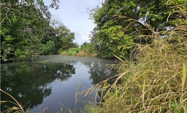 Se Vende Finca en Veraguas de 1110 Hectáreas