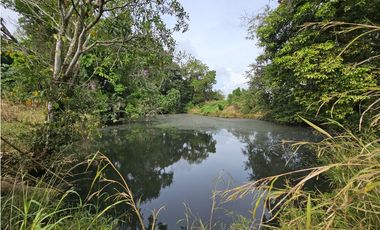 Se Vende Finca en Veraguas de 1110 Hectáreas