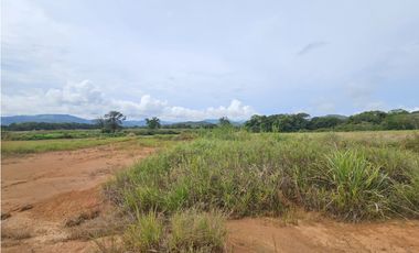 Se Vende Finca en Veraguas de 1110 Hectáreas