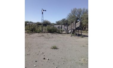 VENDO CAMPO GANADERO EN CARMENSA GENERAL ALVEAR MENDOZA