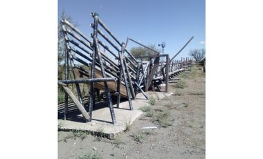VENDO CAMPO GANADERO EN CARMENSA GENERAL ALVEAR MENDOZA