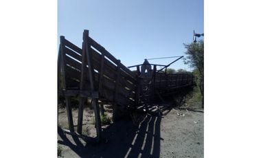 VENDO CAMPO GANADERO EN CARMENSA GENERAL ALVEAR MENDOZA