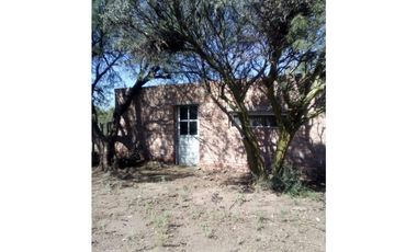 VENDO CAMPO GANADERO EN CARMENSA GENERAL ALVEAR MENDOZA