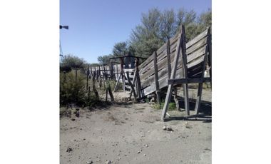 VENDO CAMPO GANADERO EN CARMENSA GENERAL ALVEAR MENDOZA