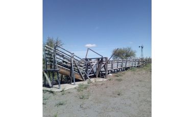 VENDO CAMPO GANADERO EN CARMENSA GENERAL ALVEAR MENDOZA