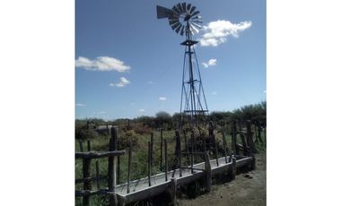 VENDO CAMPO GANADERO EN CARMENSA GENERAL ALVEAR MENDOZA