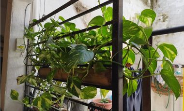 VENTA CASA CON LOCAL COMERCIAL