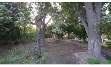 Venta terreno 1300m2 aprox. Cercano a centro de Calle Larga