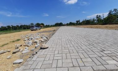 Utara Wapres JK Kaligelang Pemalang, Dijual Lahan Matang, 1 Jt-an/m2