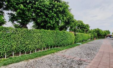 Residencial Sumiya
