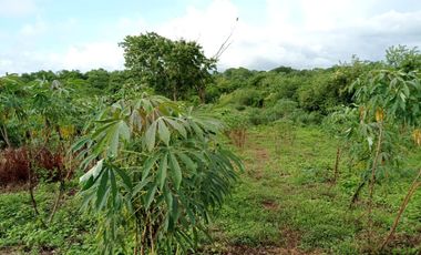 lote en venta en baranoa. Cod V27606
