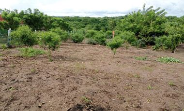 lote en venta en baranoa. Cod V27606