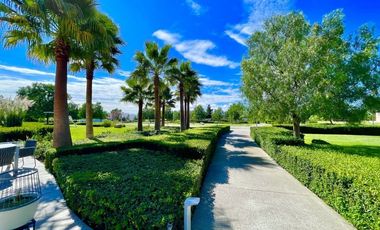 NORPONIENTE EN TAMARINDOS DE UNA PLANTA SUPER FUNCIONAL
