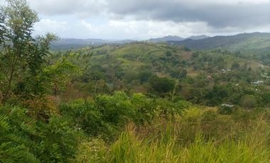 Venta de terreno en Capira