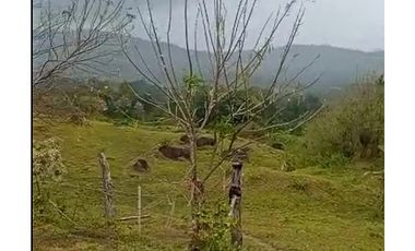 Venta de terreno en Capira