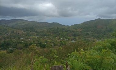 Venta de terreno en Capira