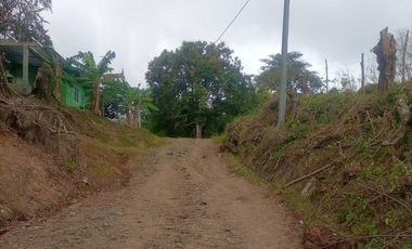 Venta de terreno en Capira