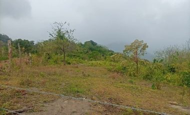 Venta de terreno en Capira