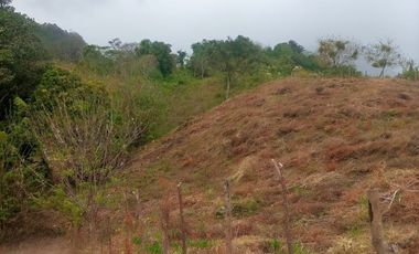 Venta de terreno en Capira