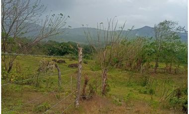 Venta de terreno en Capira
