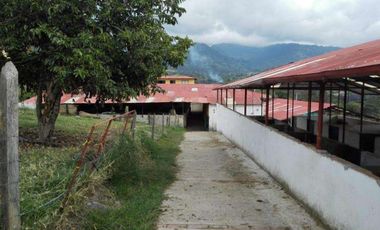 FINCA EN VENTA EN FUSAGASUGA