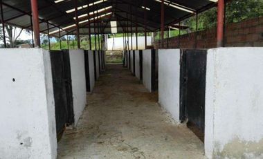 FINCA EN VENTA EN FUSAGASUGA