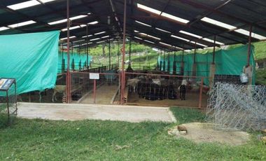 FINCA EN VENTA EN FUSAGASUGA