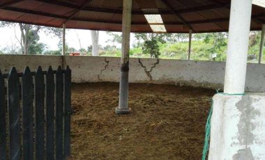 FINCA EN VENTA EN FUSAGASUGA