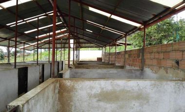 FINCA EN VENTA EN FUSAGASUGA