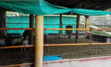 FINCA EN VENTA EN FUSAGASUGA