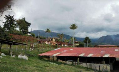 FINCA EN VENTA EN FUSAGASUGA