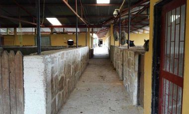 FINCA EN VENTA EN FUSAGASUGA