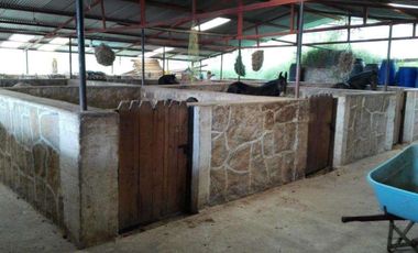 FINCA EN VENTA EN FUSAGASUGA