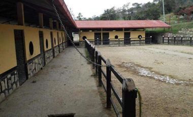 FINCA EN VENTA EN FUSAGASUGA