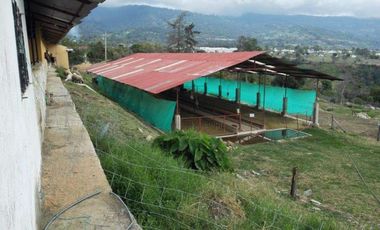 FINCA EN VENTA EN FUSAGASUGA
