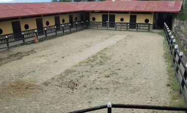 FINCA EN VENTA EN FUSAGASUGA